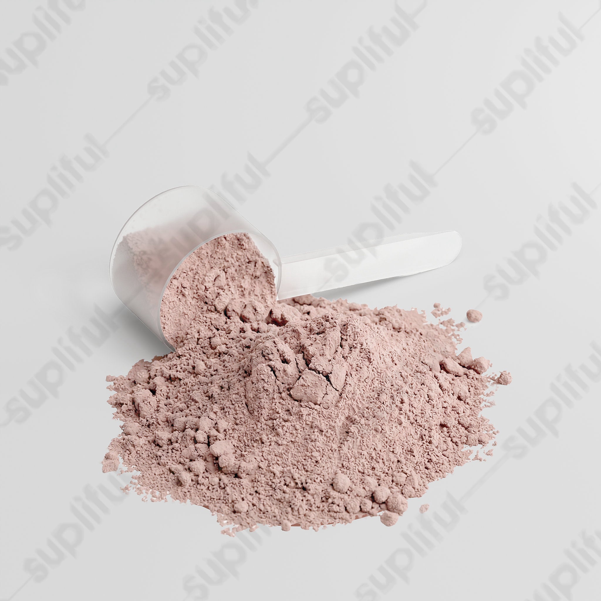 Advanced 100% Whey Protein Isolate (Chocolate Cookie)
